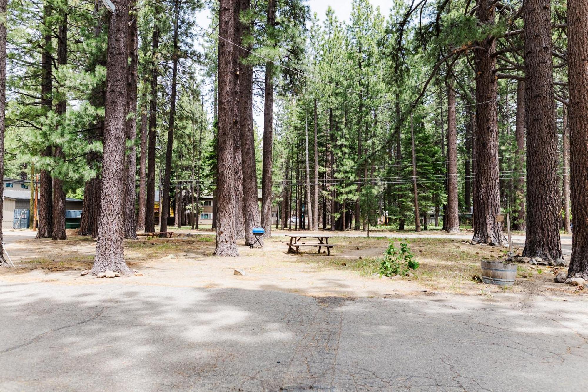 The Washoe Lodge سووث لاك تاهوي المظهر الخارجي الصورة